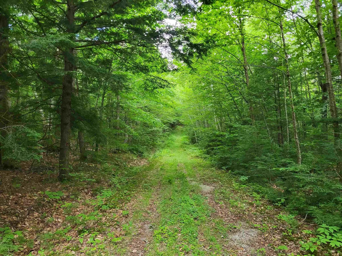 Photo of Lot 2 Bear Mountain
