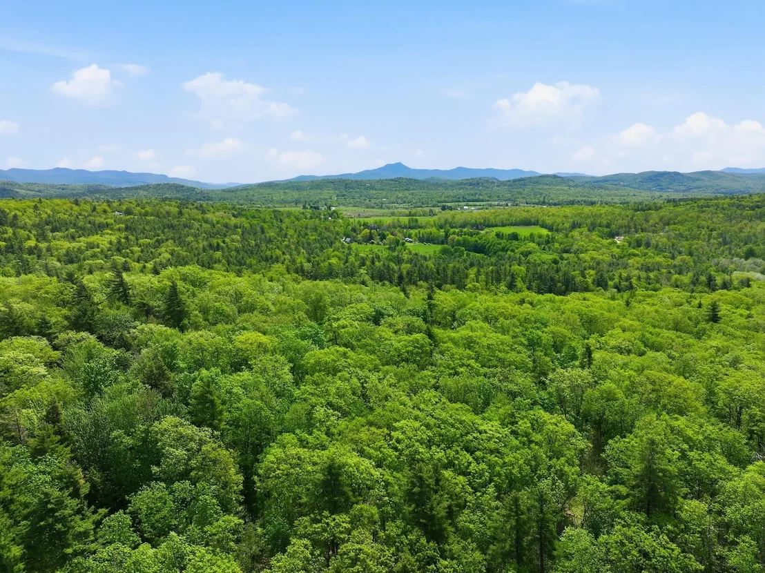Photo of 189 Shagbark