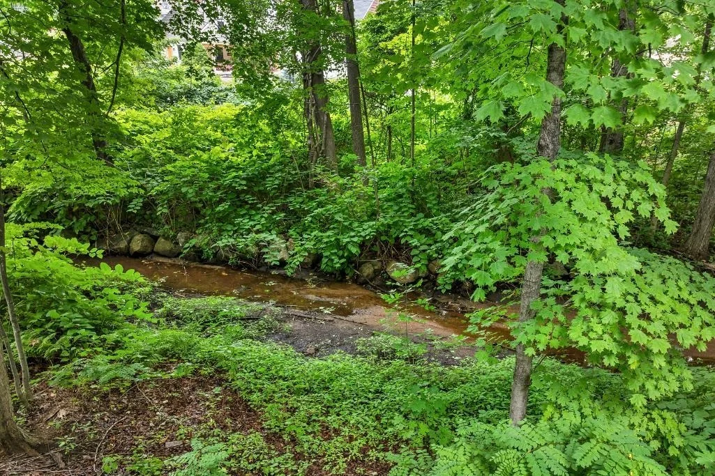 Photo of 19 Stevens