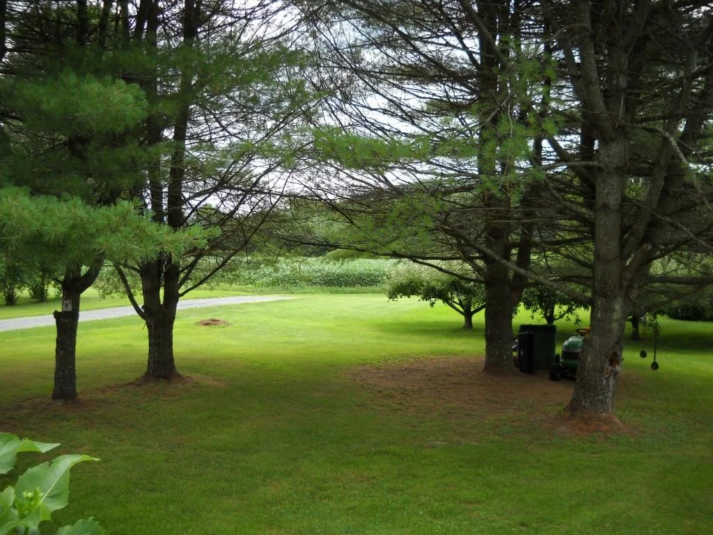 Photo of 6 Pierson