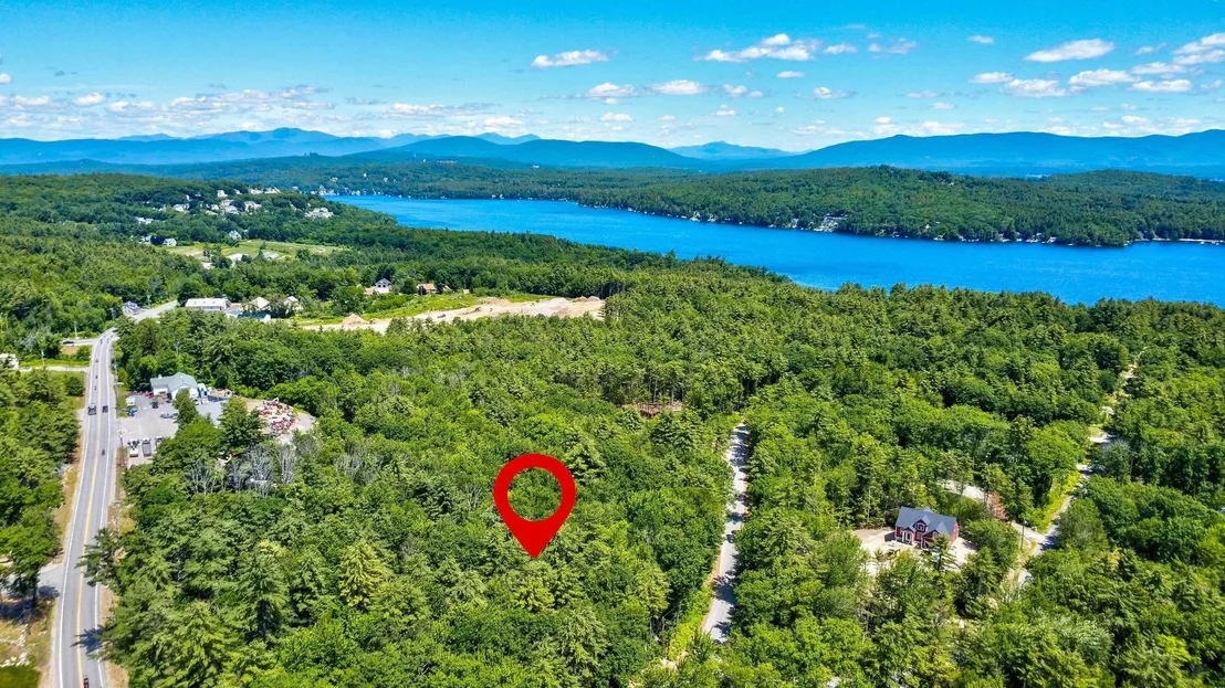 Photo of Lot 12-2 Needle Eye