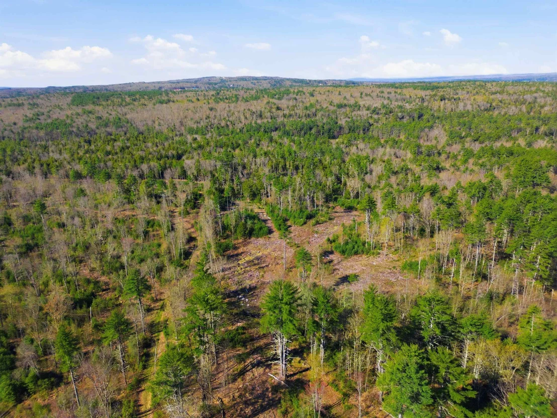 Photo of Unit MAP8LOT28 at 87 Bear Hill