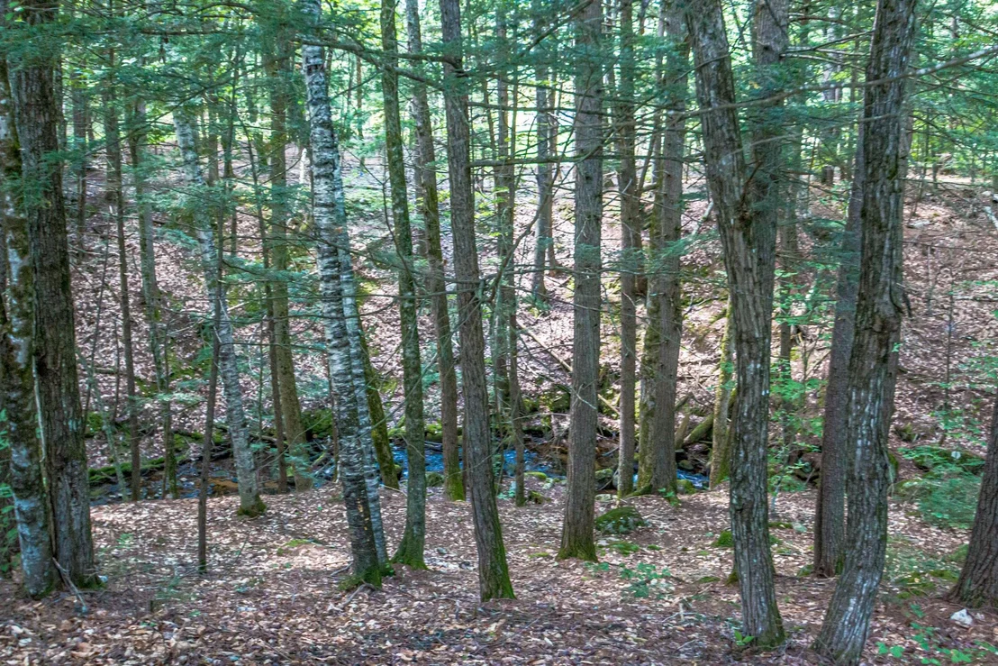 Photo of 141 Red Eagle Brook