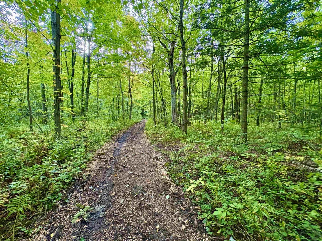 Photo of 0 Partridge Hollow
