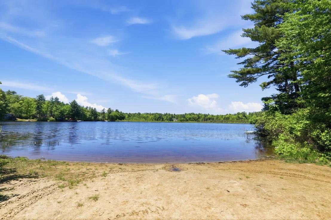 Photo of 22 Hemlock