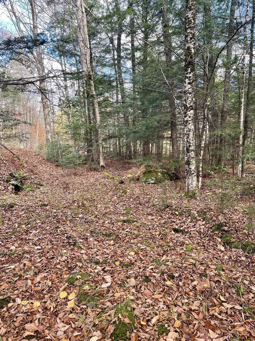 Photo of Unit LOT20R at 0 Foothills