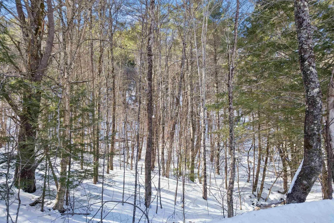 Photo of 153 Russell