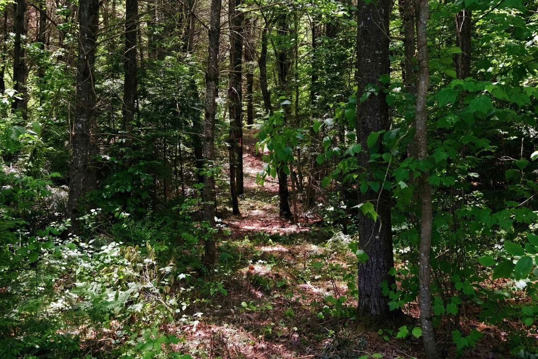 Photo of Unit MAP16LOT64 at 00 NH Route 103 West