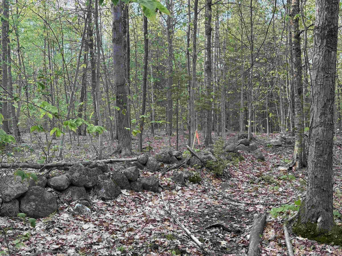 Photo of Lot 80 Currier
