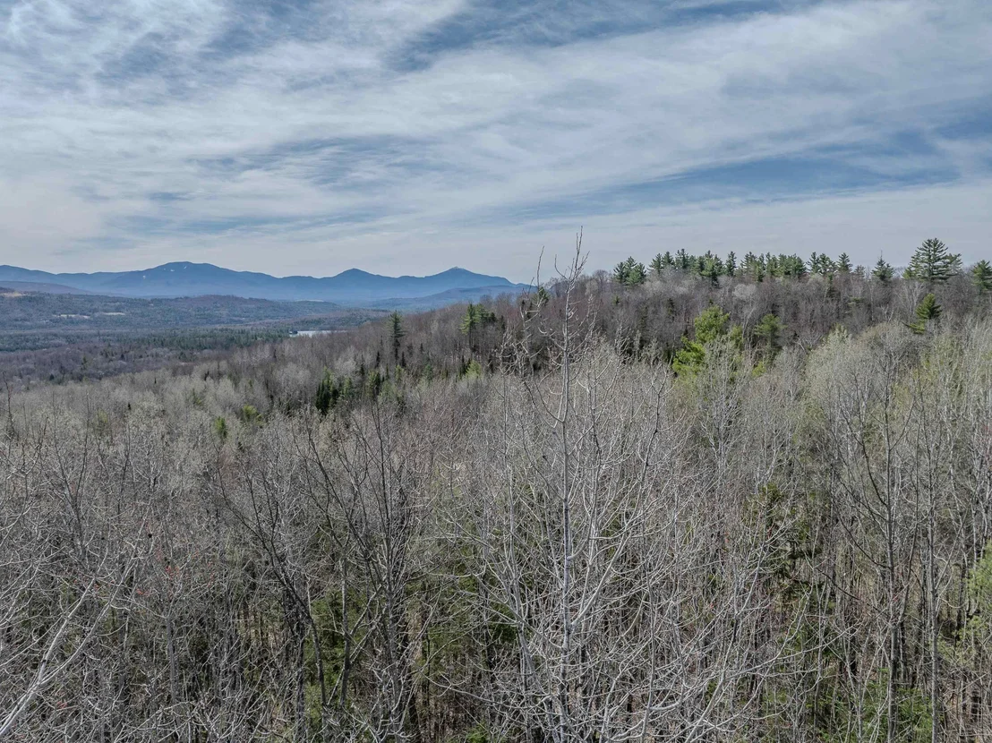Photo of Lot 2 Mountain