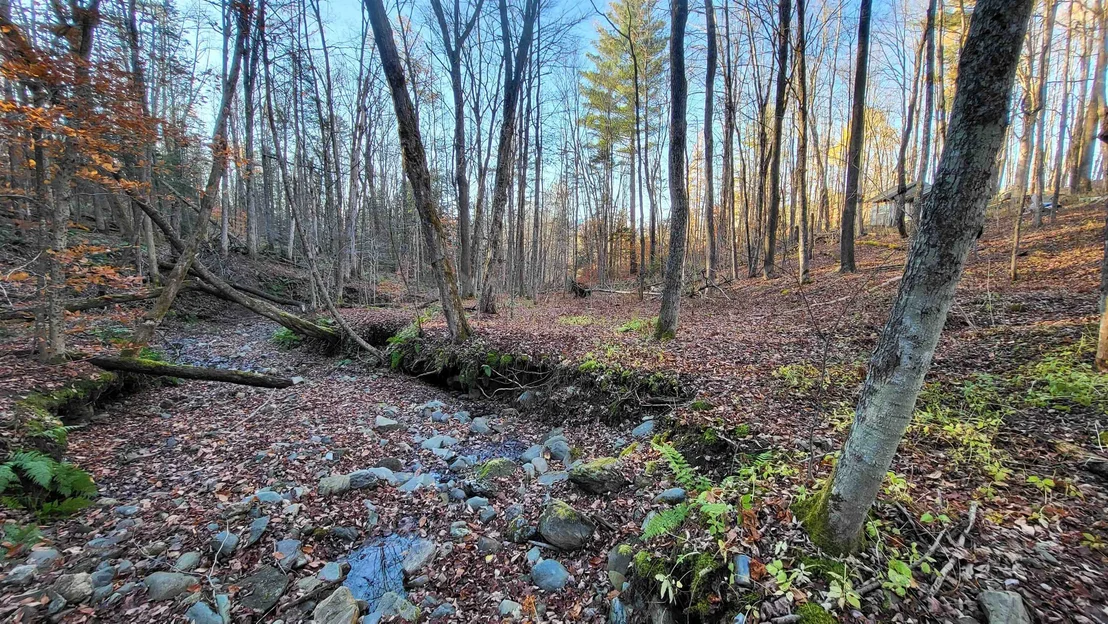 Photo of 535 Collar Hill