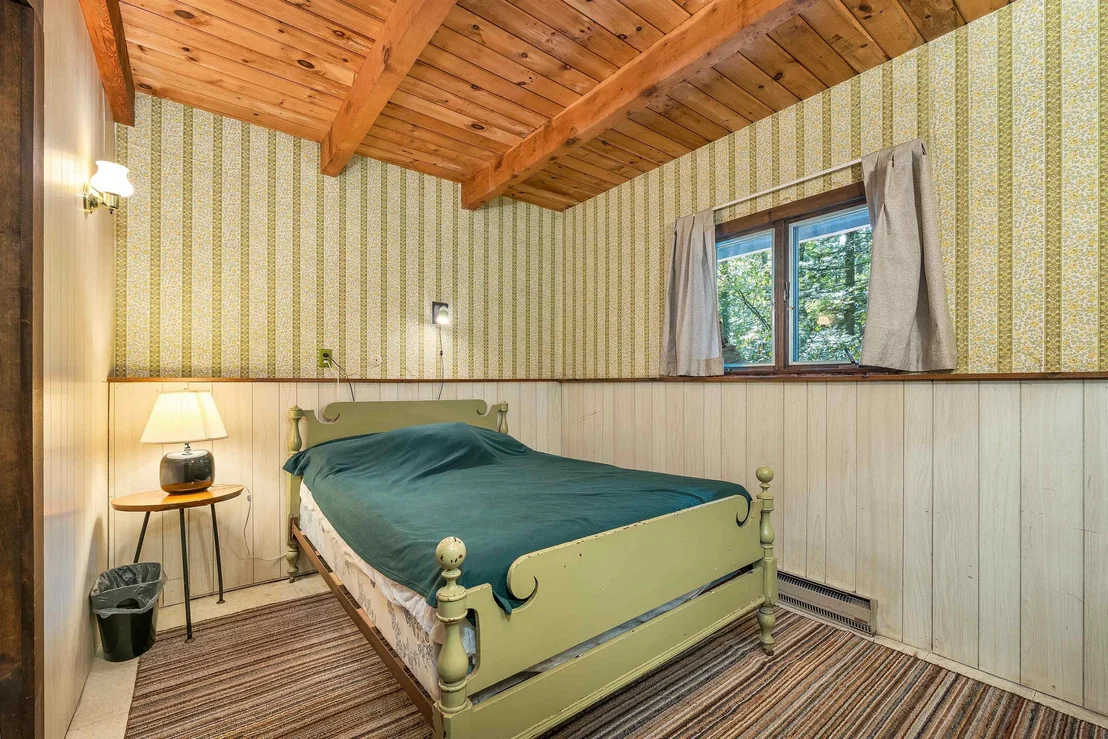 Photo of 49 Kings Pine
