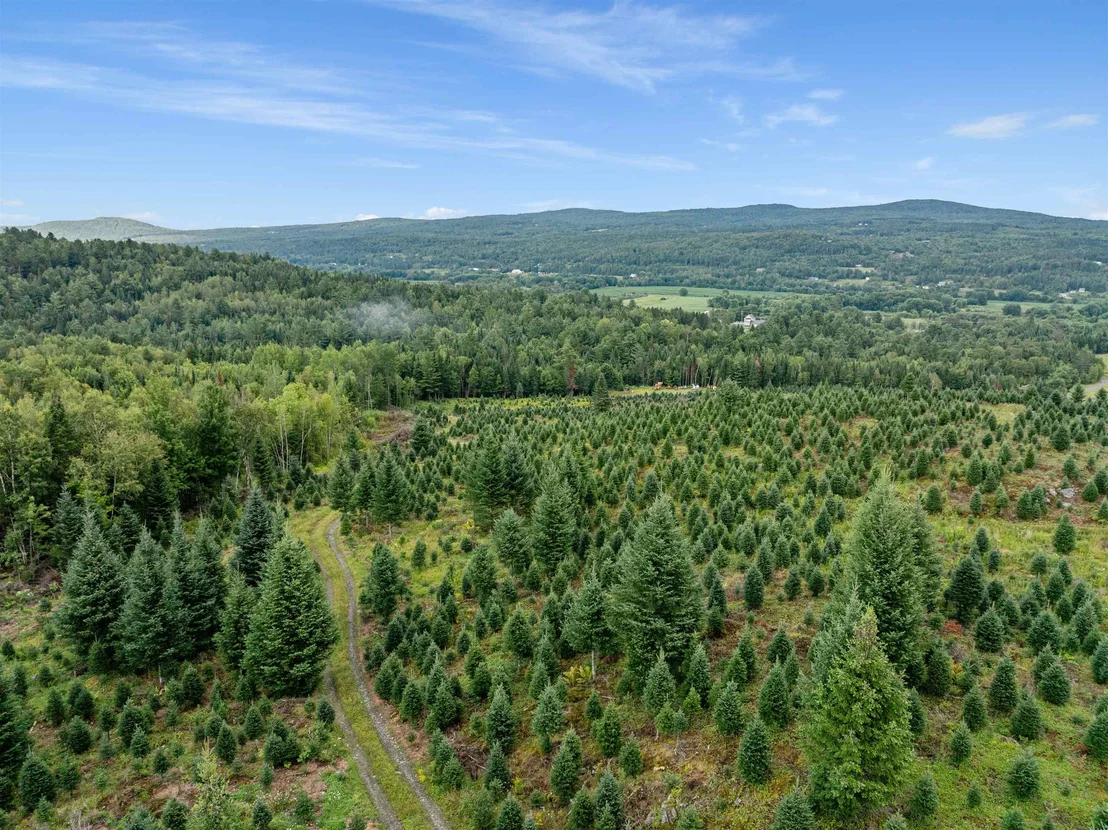 Photo of - Capon Brook
