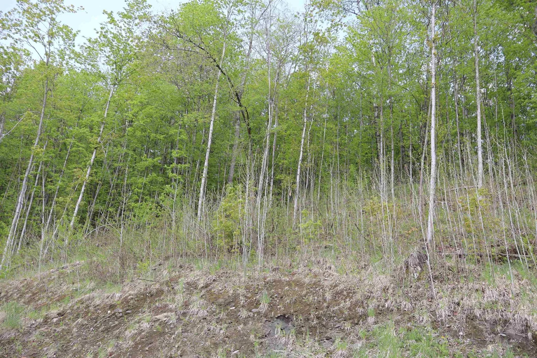 Photo of Unit LOT9 at 9 Maplewood