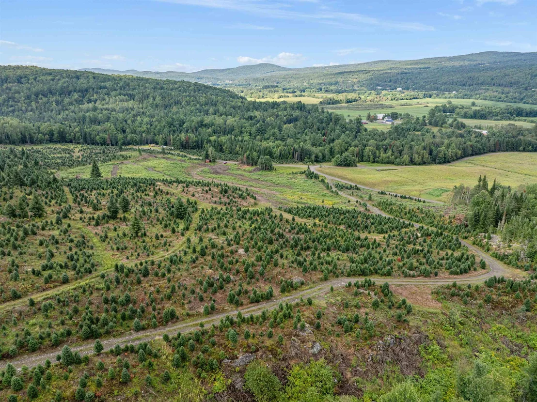Photo of - Capon Brook