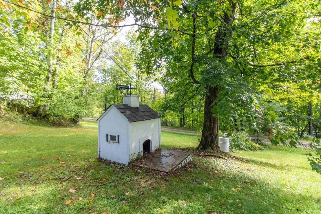 Photo of 62 Maple Tree