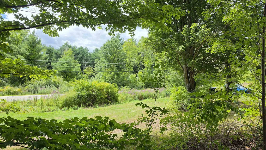 Photo of 456 Pickering