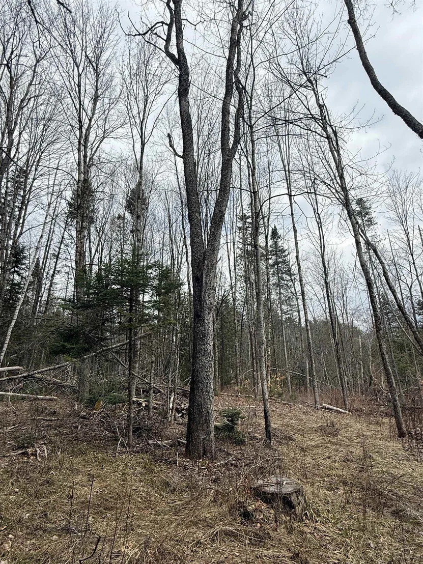 Photo of 00 Wheelock
