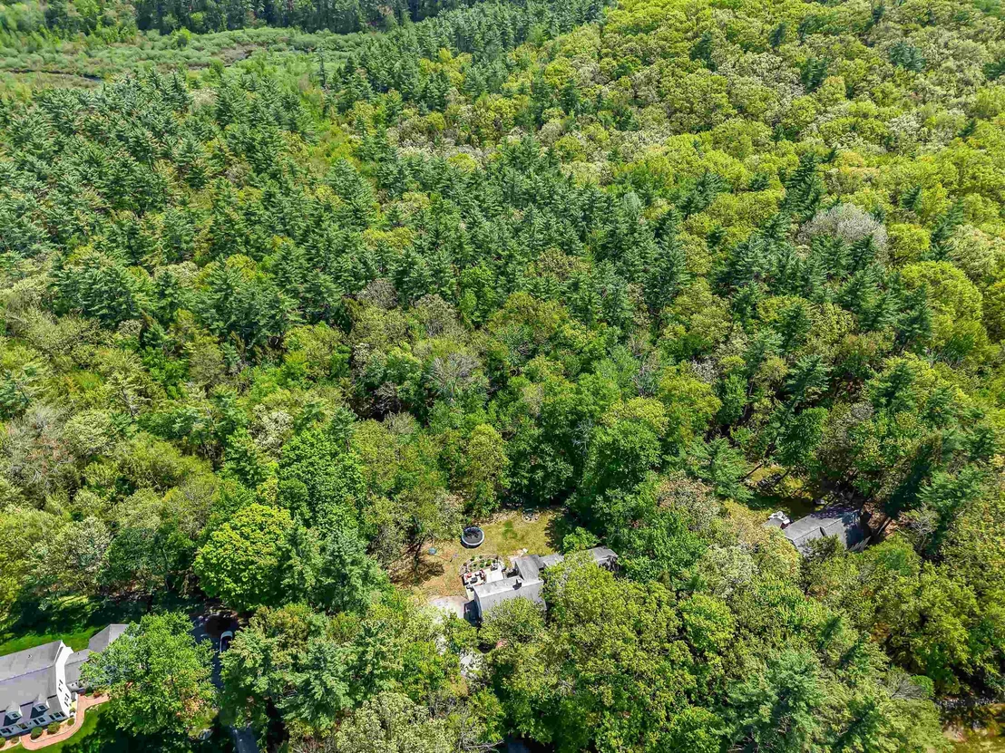 Photo of 19 Winterberry