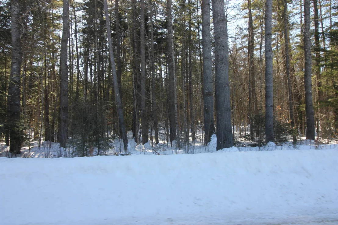 Photo of 00 Covered Bridge