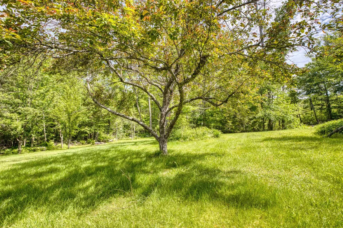 Photo of 160 Browns Ridge