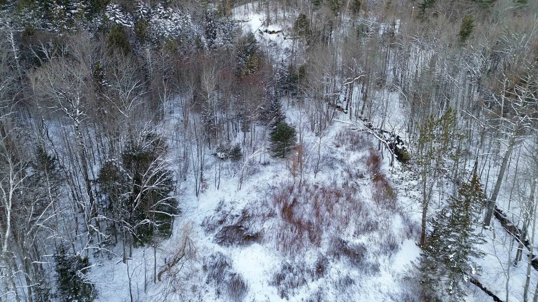 Photo of 142 Brooks