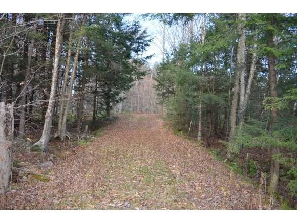 Photo of Unit LOT33 at 0 Woods Road West