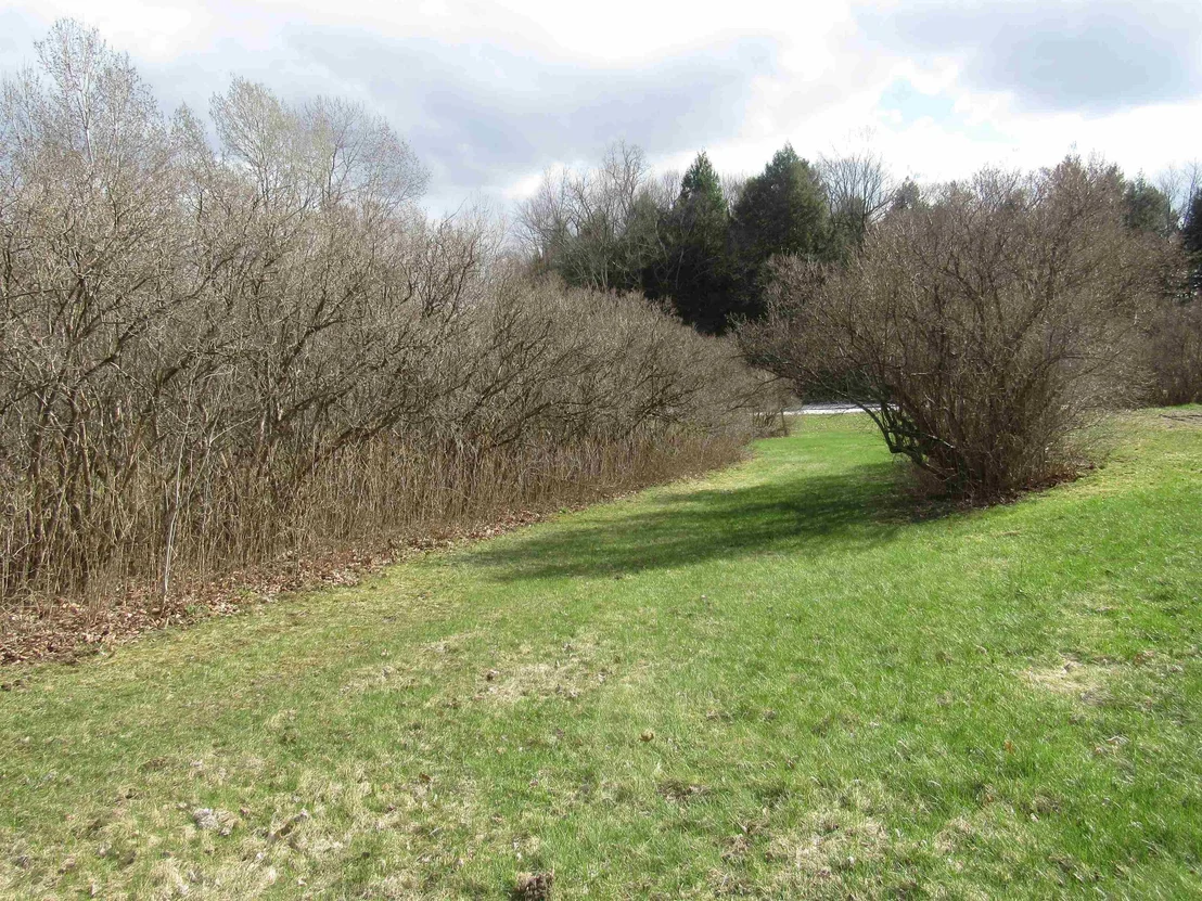 Photo of 701 Bluff