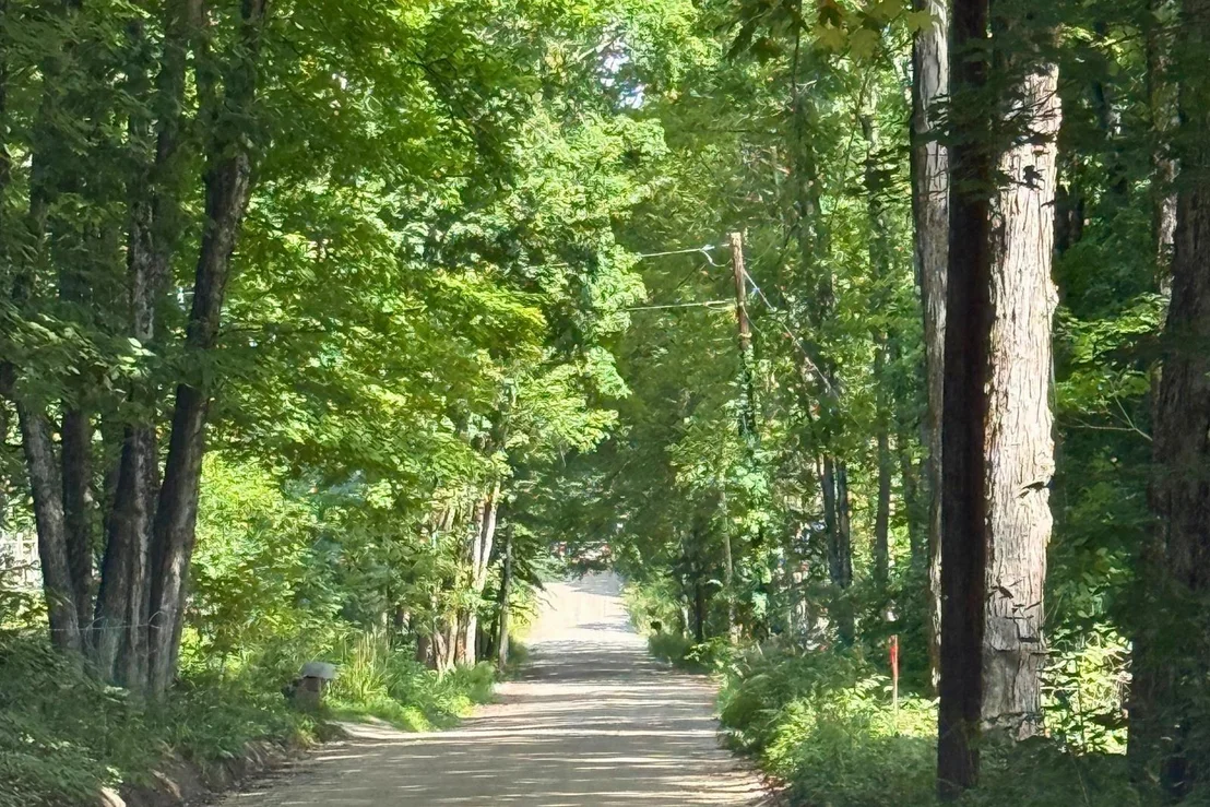 Photo of Lot 9-1 Roxbury