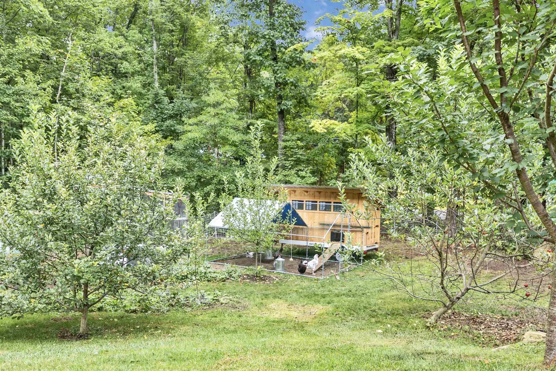 Photo of 12 Springvale