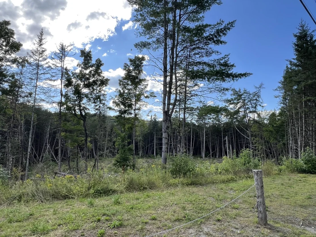 Photo of 135 East Ridge