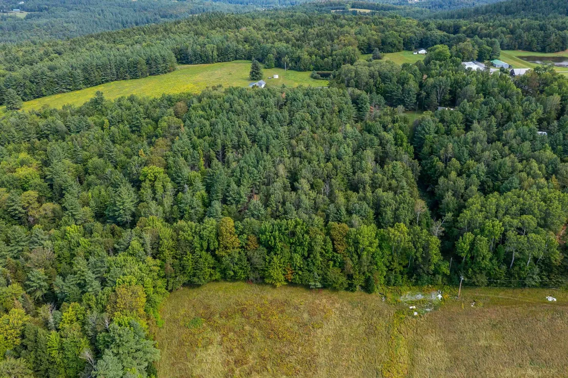 Photo of Lot #4 Meadow