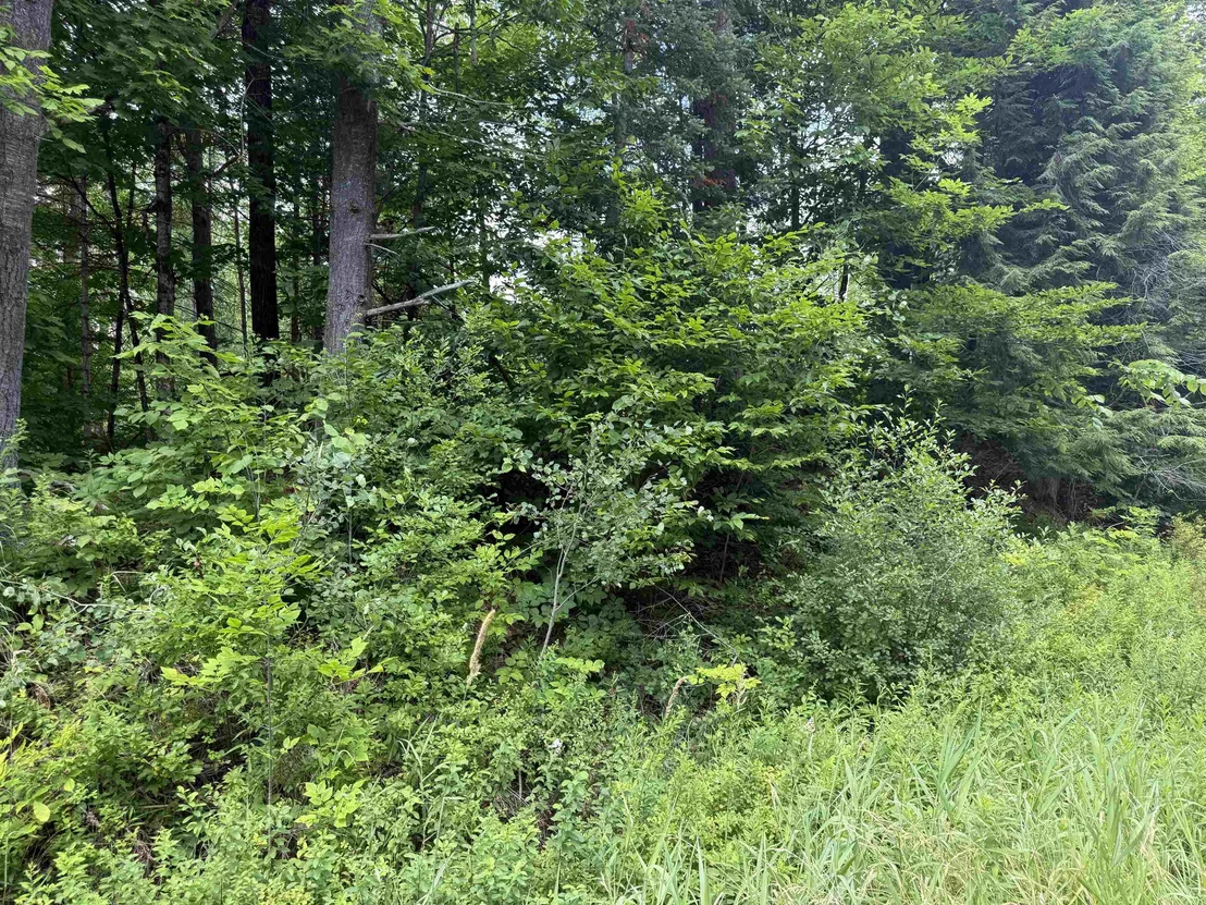 Photo of Lot 5 VT Route 102