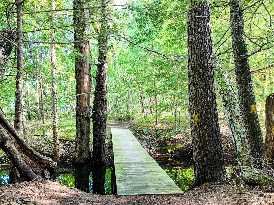 Photo of Map 264 Lot 65 Oxbow