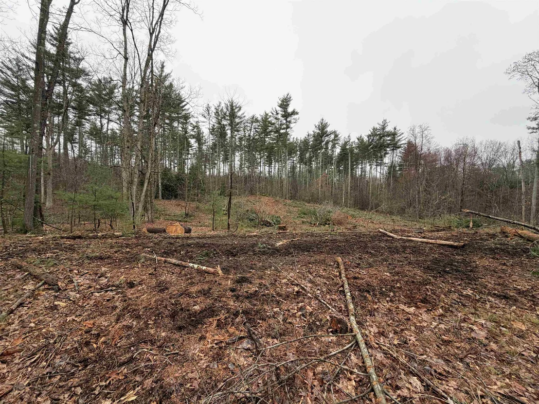 Photo of 46-52-3 Witches Spring