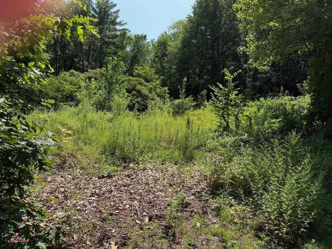 Photo of 2 Shore