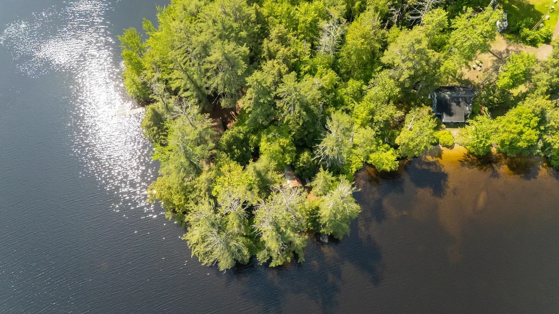 Photo of 31 Sherene Orchard