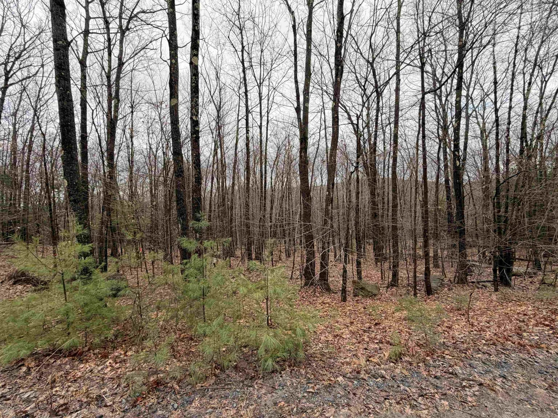 Photo of 0 Old Walpole/Valley View