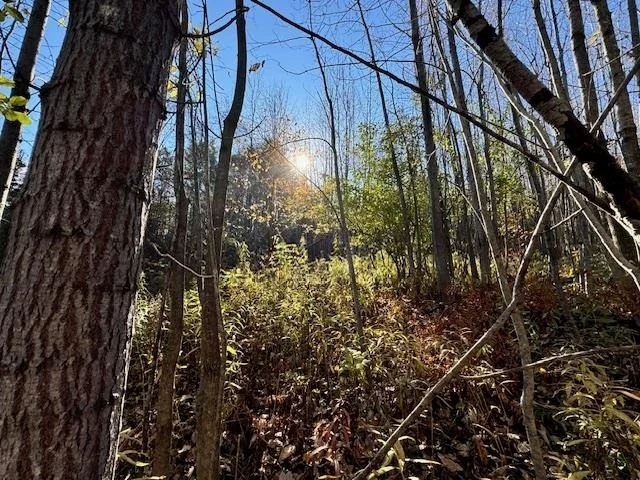 Photo of 0 Route 132
