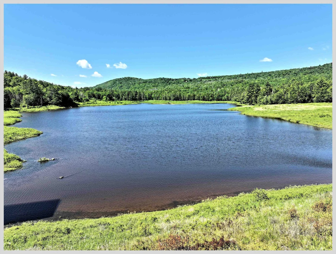 Photo of 206 River
