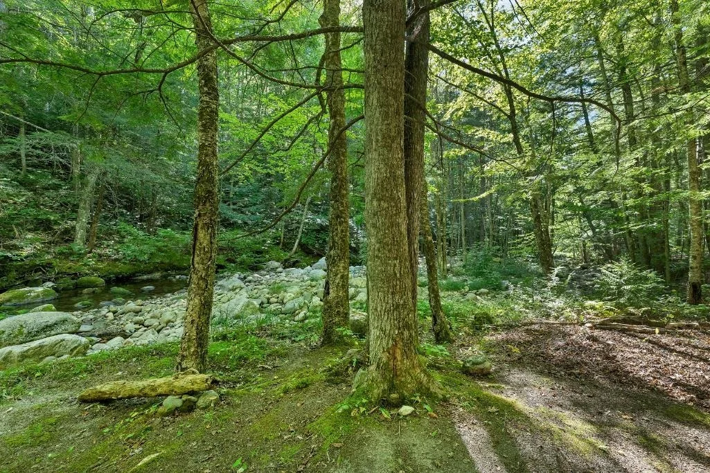 Photo of 32 Johnson Brook