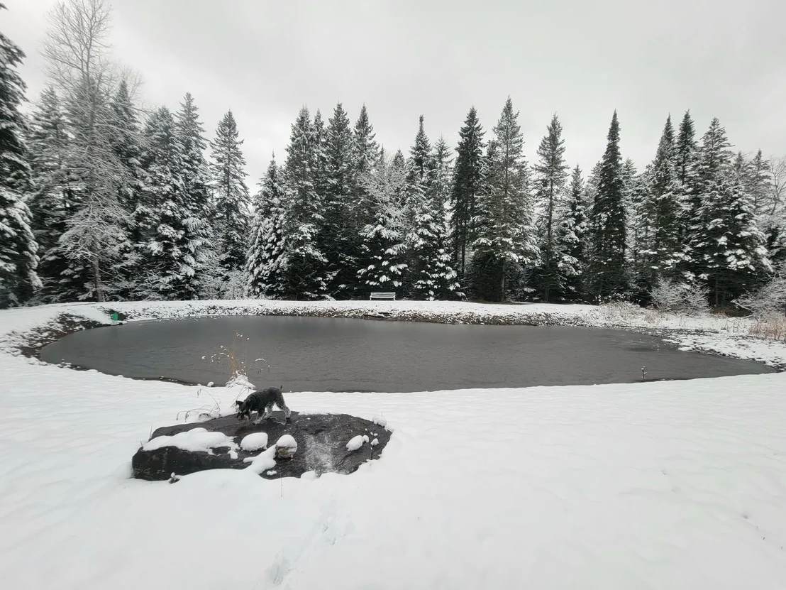 Photo of 255 Gray