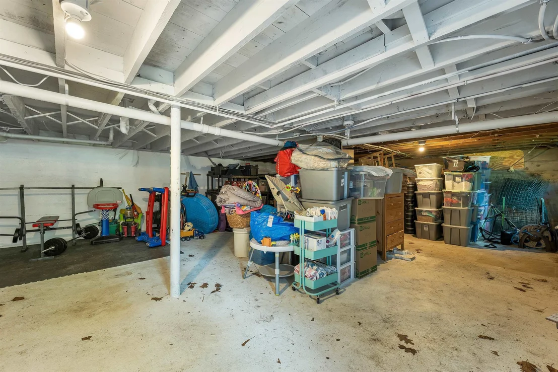Photo of 74 Alewive