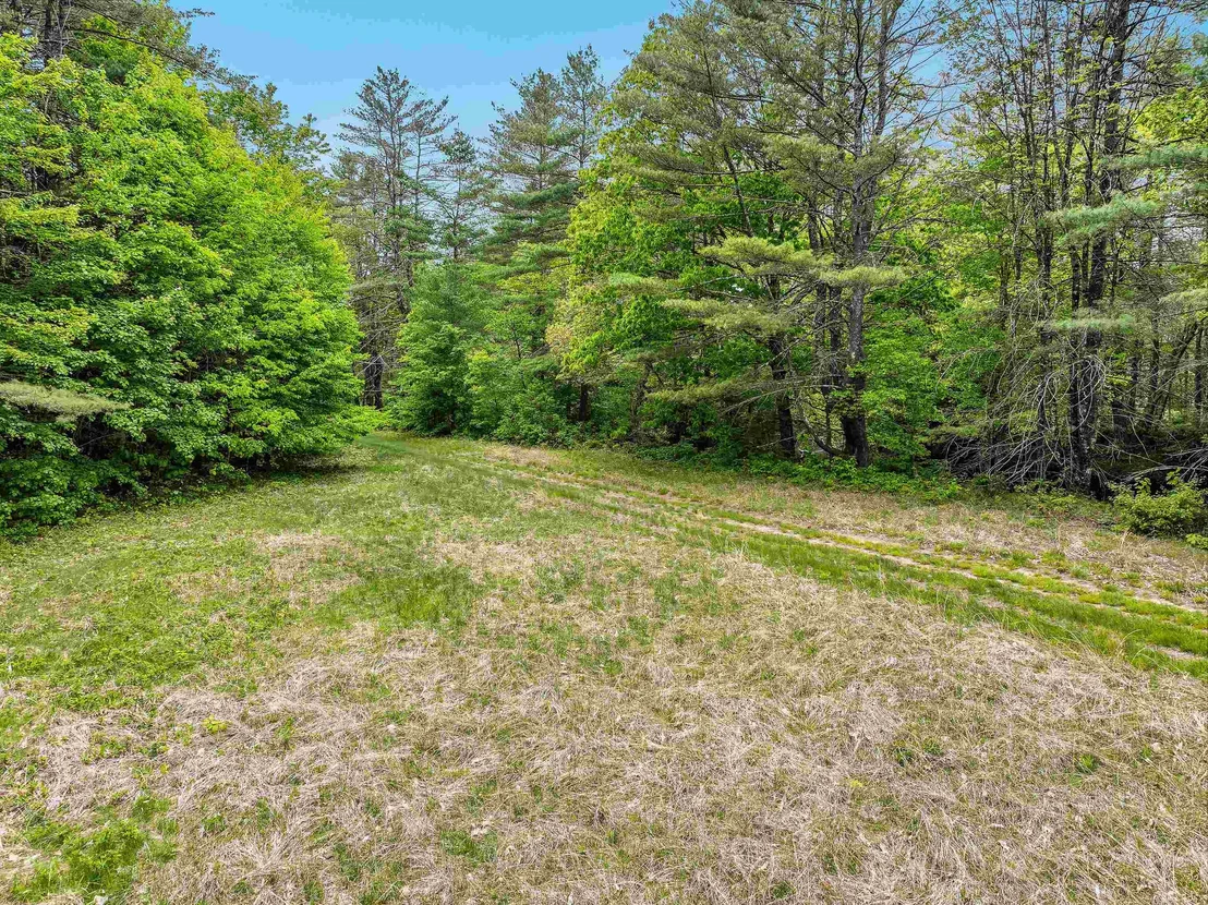 Photo of 97 Salisbury