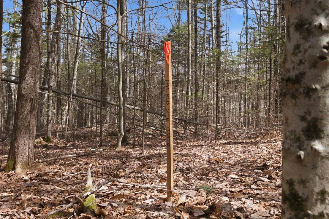 Photo of 0 Puckerbrush