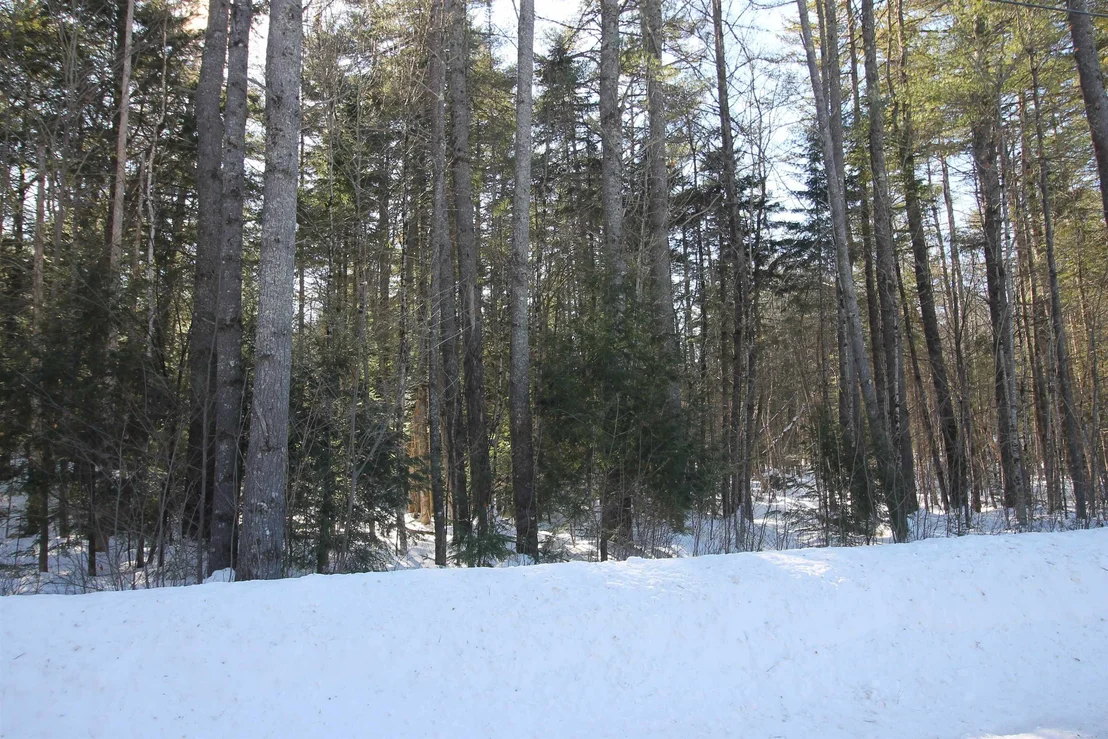 Photo of 00 Covered Bridge