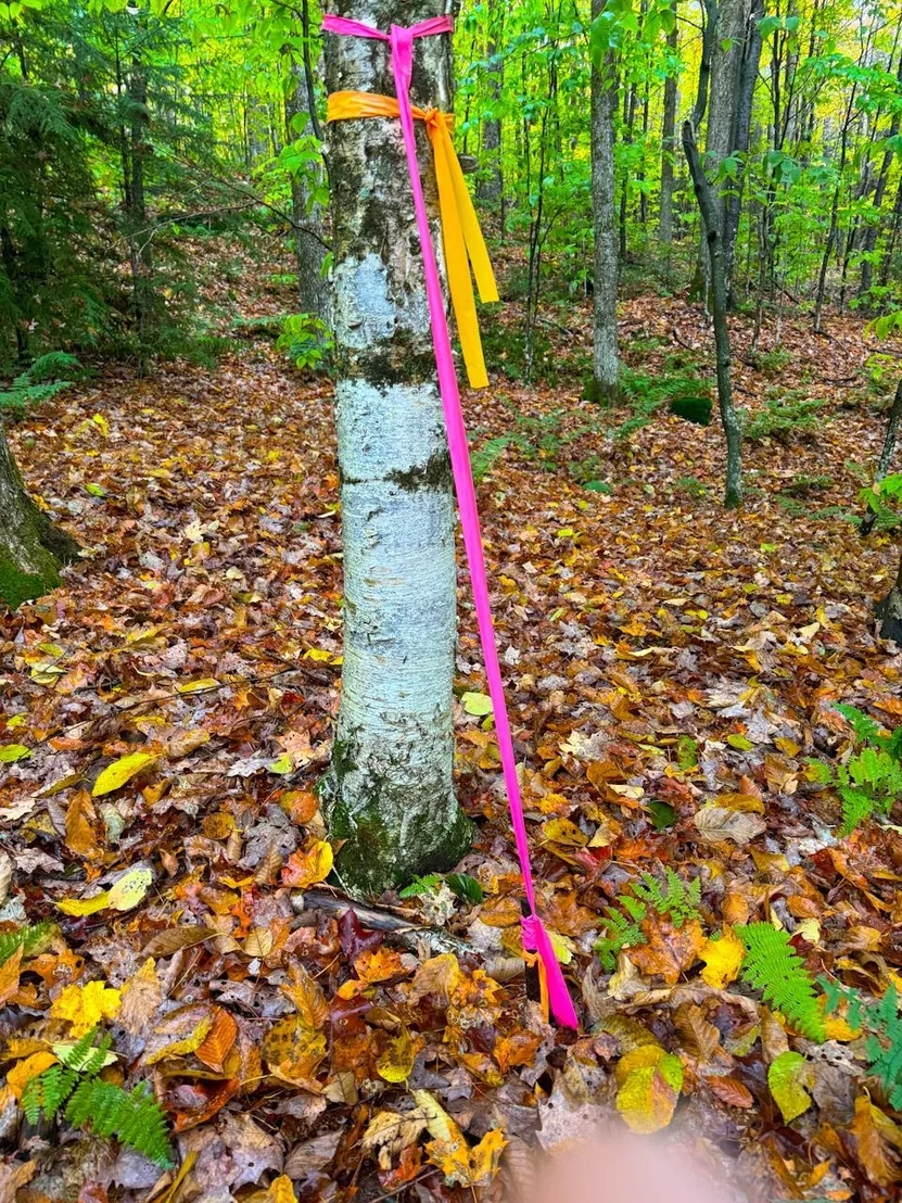 Photo of 0 Cider Mountain