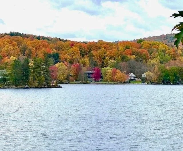Photo of 49 Rockview