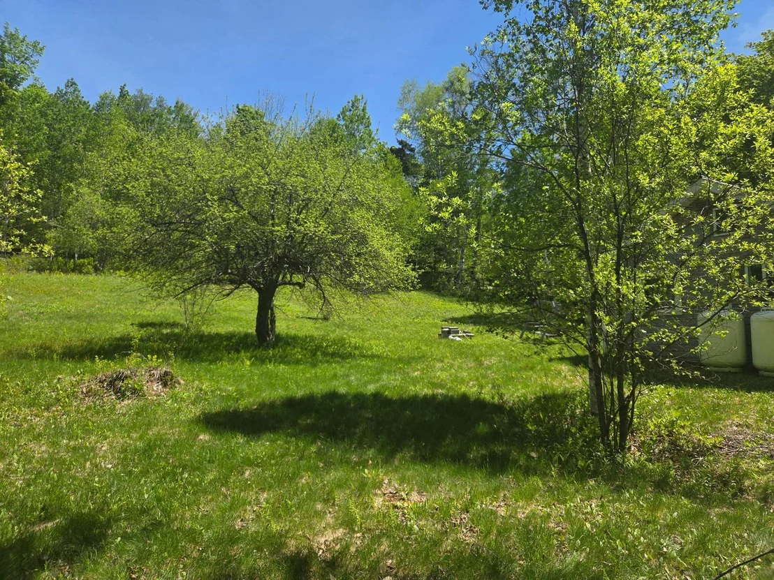 Photo of 1440 Stevens