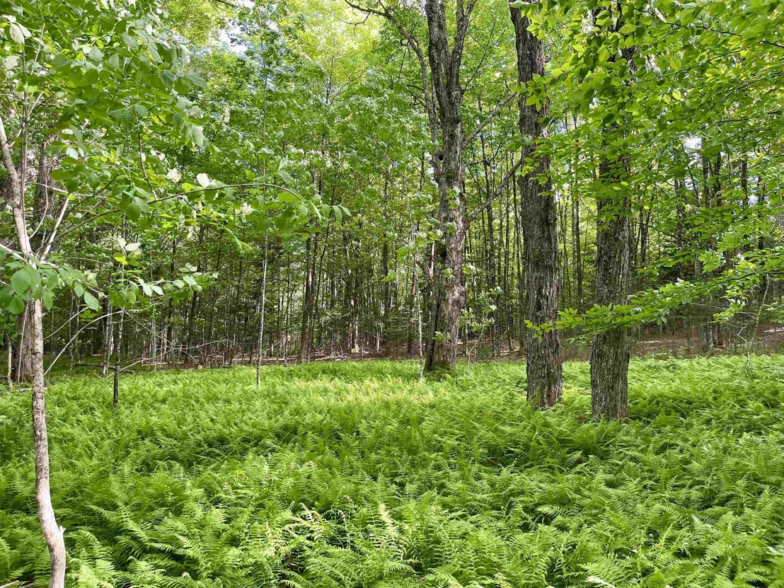 Photo of 00 Old Farm